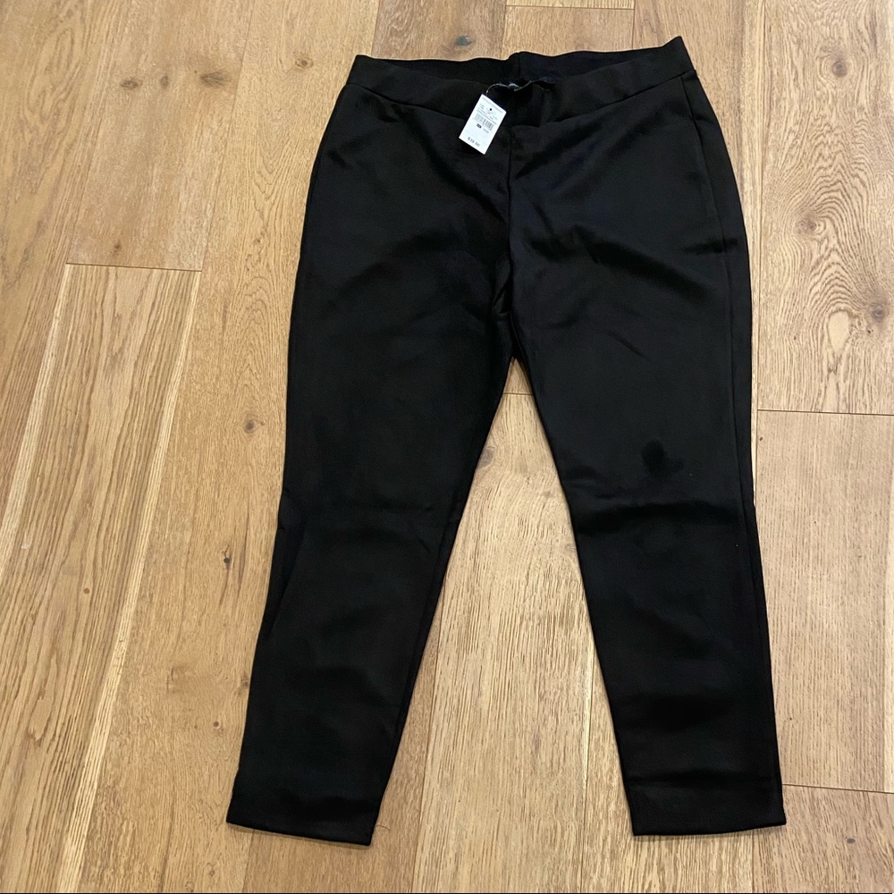 Ashley Stewart Suede Leggings